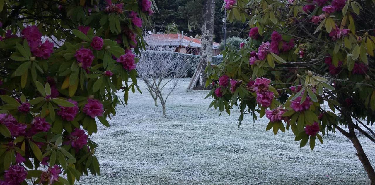 Recanto Da Natureza, Chale Gonçalves Екстериор снимка