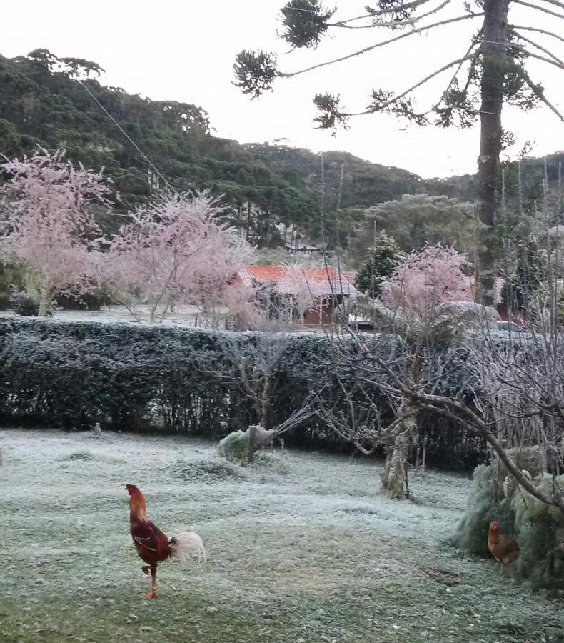 Recanto Da Natureza, Chale Gonçalves Екстериор снимка