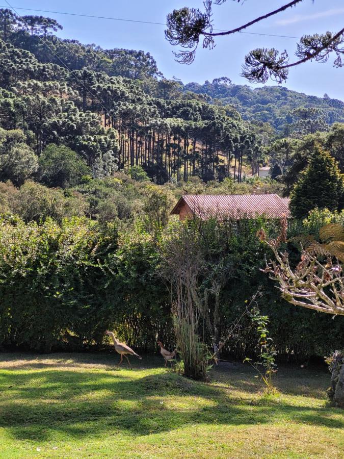 Recanto Da Natureza, Chale Gonçalves Екстериор снимка